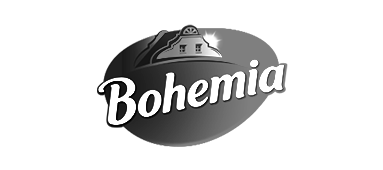 Bohemiachips